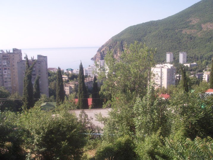 Партенит