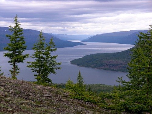 Полуостров Таймыр. фото liveinternet.ru
