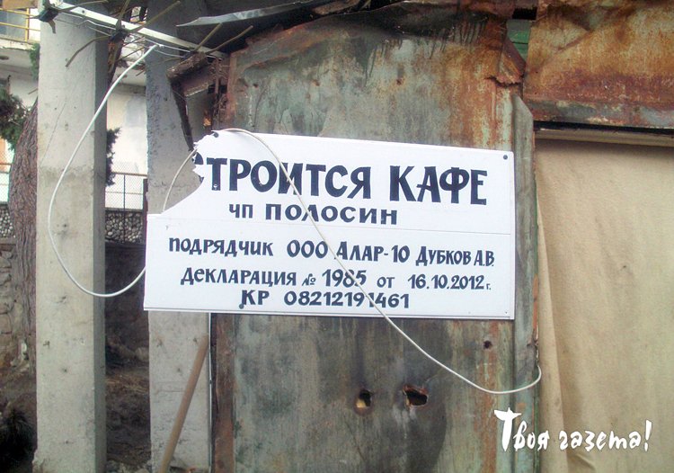В Партените (Большая Алушта) вековая сосна оказалась под угрозой гибели.