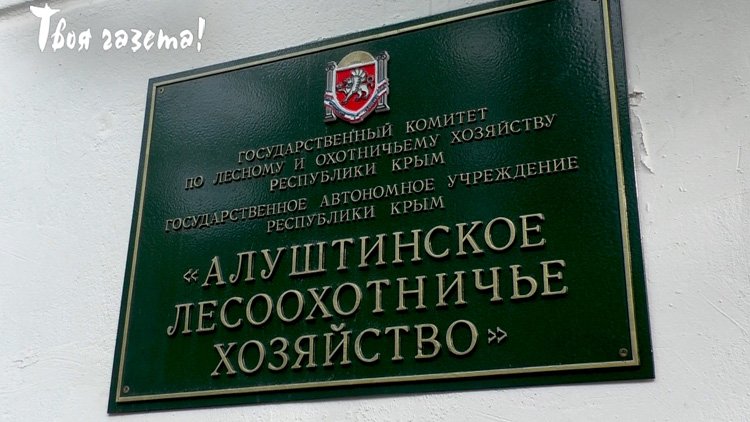 Алушта. Лесоохотничье хозяйство. "Твоя газета!" — новости Алушты.